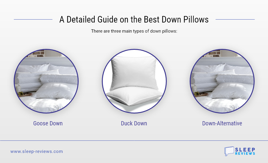 Best down Pillow