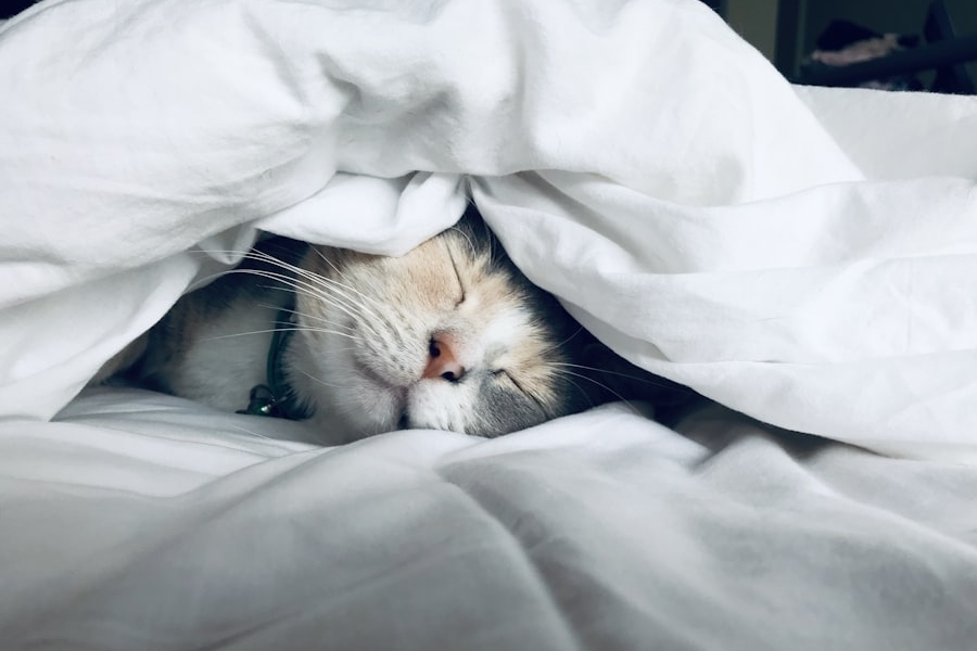 Person stretching after waking up in the morning